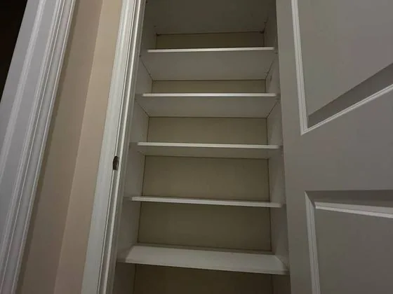 Custom pantry shelving — Palatine, IL